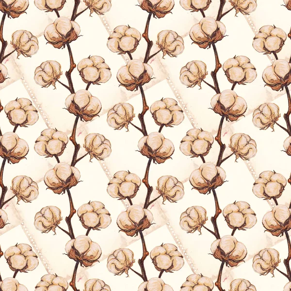 Vintage Coton Fleur Plante Sépia Croquis Sans Couture Motif Texture — Photo