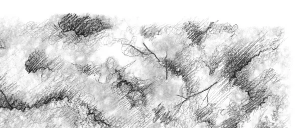 黑白单色树自然铅笔素描线条艺术质感 — 图库照片