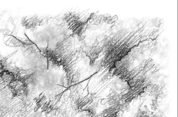 黒と白のモノクロームの木自然鉛筆スケッチラインアートテクスチャ — ストック写真