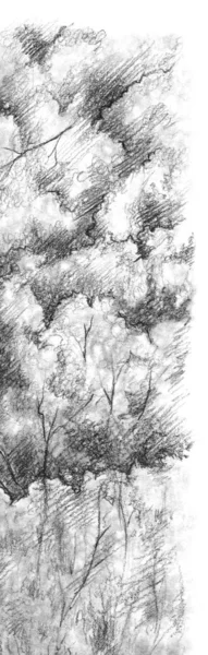 黒と白のモノクロームの木自然鉛筆スケッチラインアートテクスチャ — ストック写真