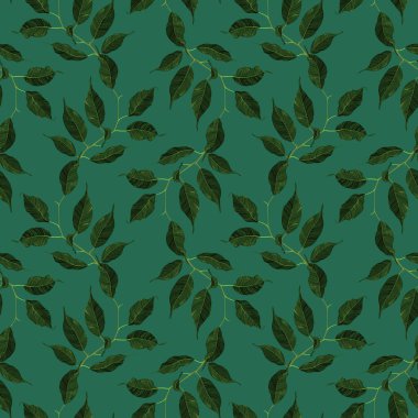 Yeşil incir ağacı kauçuk yaprak dalsız desenli arka plan vektör sanatı