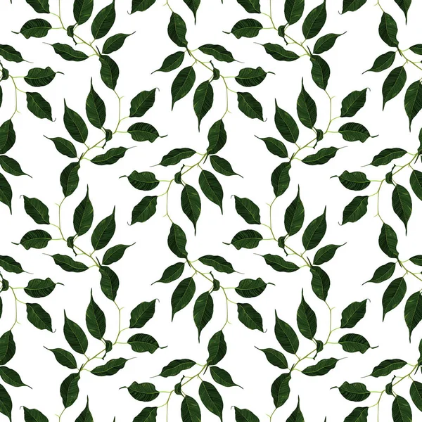 Green Ficus Rubber Plant Branch Leaf Seamless Pattern Texture Background — Vetor de Stock