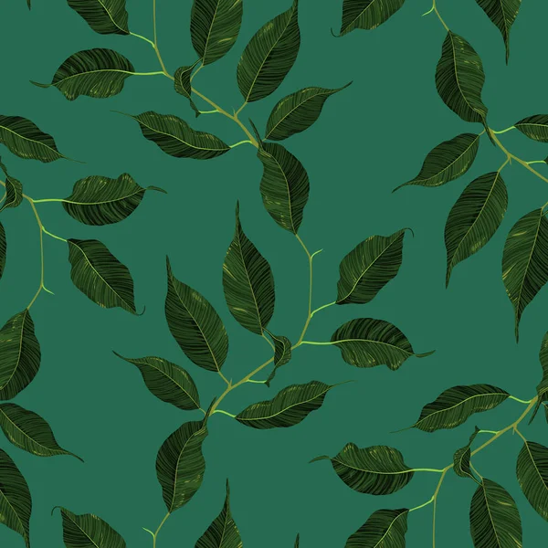 緑の氷山ゴム植物の枝の葉のシームレスなパターンテクスチャの背景ベクトルアート — ストックベクタ