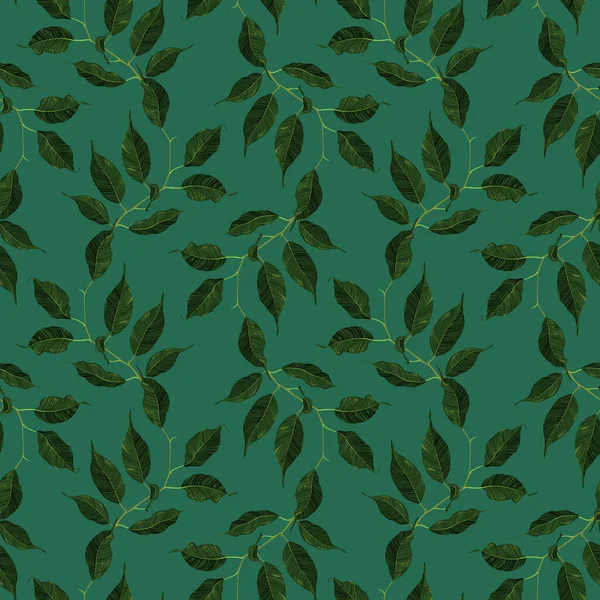 Green Ficus Rubber Plant Branch Leaf Seamless Pattern Texture Background — Vetor de Stock