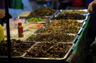 Solucanlar ve böcekler-ebilmek var olmak kullanılmış yemek pişirmeye ve besleyici ve popularization ülkedeki bazı gruplar