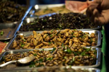 Solucanlar ve böcekler-ebilmek var olmak kullanılmış yemek pişirmeye ve besleyici ve popularization ülkedeki bazı gruplar