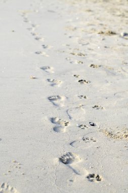 Tarafından sabah plajda yürüyüş ayak izleri