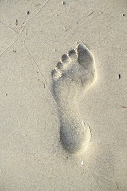 Tarafından sabah plajda yürüyüş ayak izleri