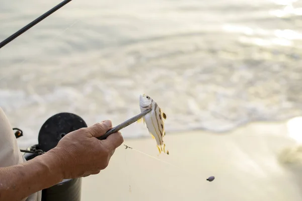 Pescador Pesca Mar Remover Gancho Para Fora Boca Peixe — Fotografia de Stock