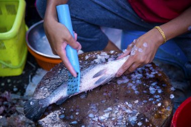 Levrek, pişmiş çeşitli yollar ve lezzetli Pazar sabahları Songkhla İl Tayland ülke sağlıklı gıdalar satılmaktadır