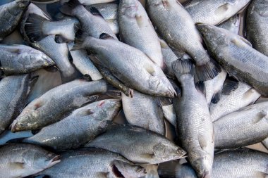 Levrek, pişmiş çeşitli yollar ve lezzetli Pazar sabahları Songkhla İl Tayland ülke sağlıklı gıdalar satılmaktadır