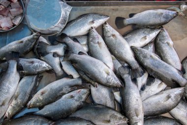Levrek, pişmiş çeşitli yollar ve lezzetli Pazar sabahları Songkhla İl Tayland ülke sağlıklı gıdalar satılmaktadır