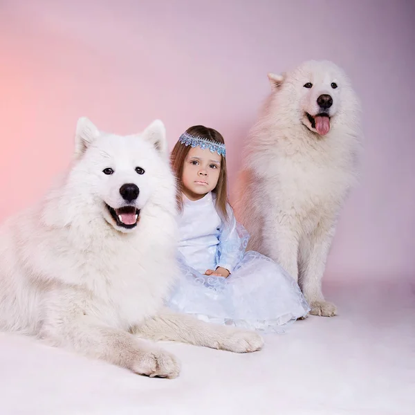 Winter Princess Meisje Met Honden Symbool Van Het Nieuwe Jaar — Stockfoto