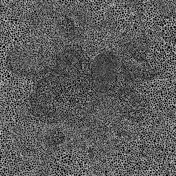 Nahtloses Schwarz-Weiß-Muster im Pointillismus-Stil. Doodle ha — Stockvektor