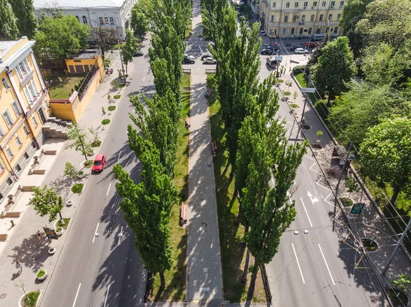 Green alley and road in the city by drone