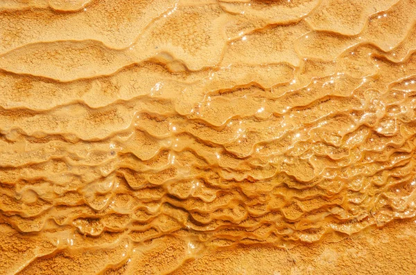 Mineralizasyon katmanları