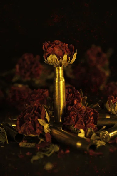 Boîtiers Laiton Roses Rouges Séchées Avec Texture Grunge Appliquée Photo De Stock
