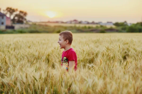 Niño Jugando Campo Trigo Atardecer — Foto de Stock