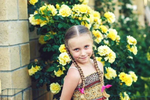 Retrato Uma Menina Com Tranças Fundo Rosas — Fotografia de Stock