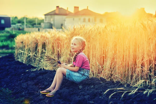 Menina Alegre Passeio Campo Com Trigo Pôr Sol — Fotografia de Stock