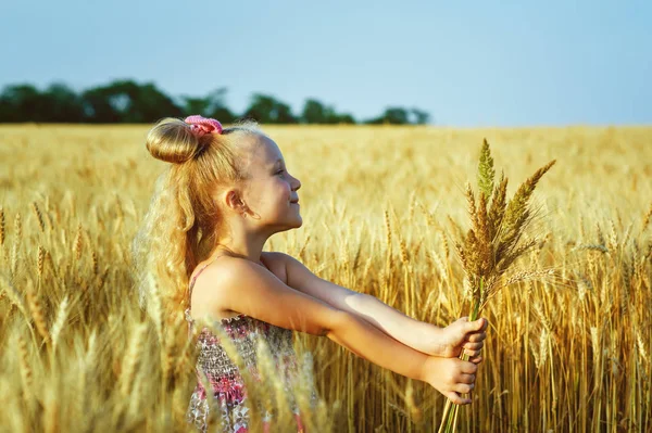 Retrato Una Niña Campo Trigo — Foto de Stock