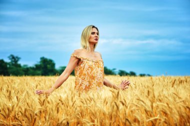 Bir buğday alanında genç romantik kadın