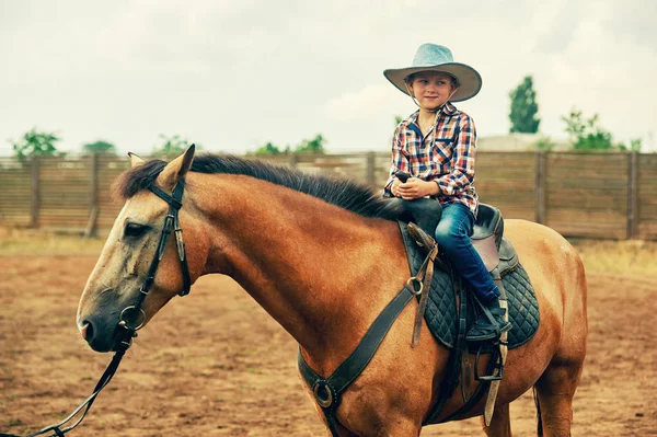 那男孩坐在一匹马上 每天在牧场上散步的孩子 — 图库照片