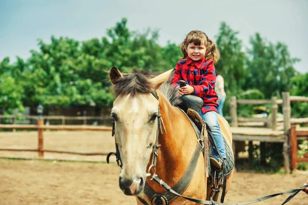 Little Girl Trained Ride Horse — Stock Photo, Image