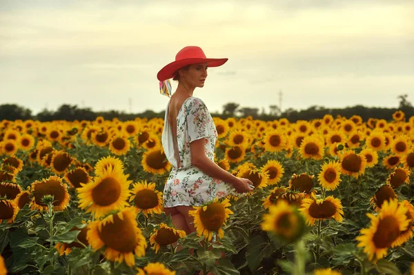 Young Sexy Woman Dress Wide Brimmed Hat Walking Field Sunflowers — Stock Photo, Image