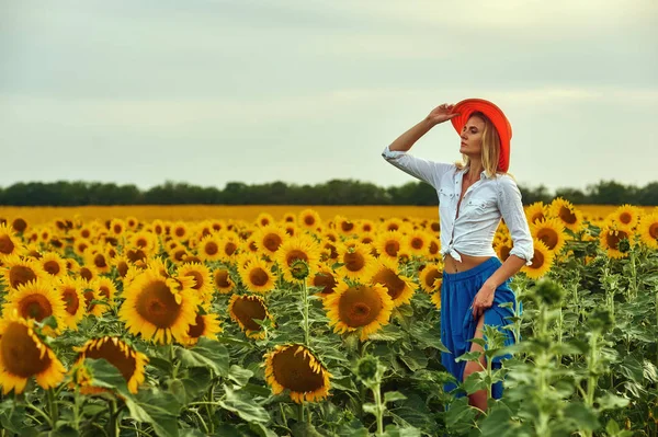 Een Sexy Jonge Vrouw Een Jurk Een Hoed Met Brede — Stockfoto