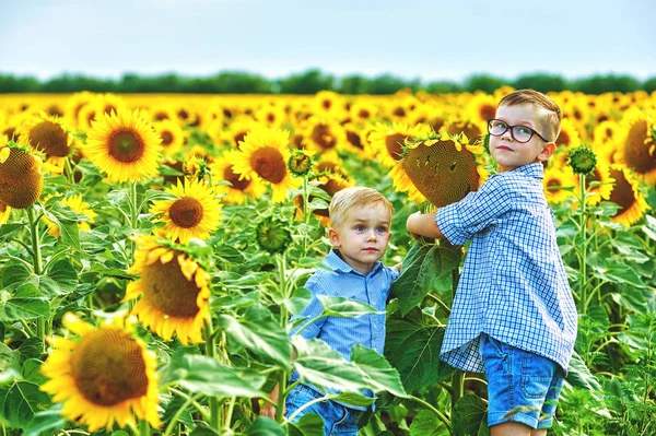 Hermosos Niños Campo Con Girasoles Hermanos Paseo Verano Campo — Foto de Stock