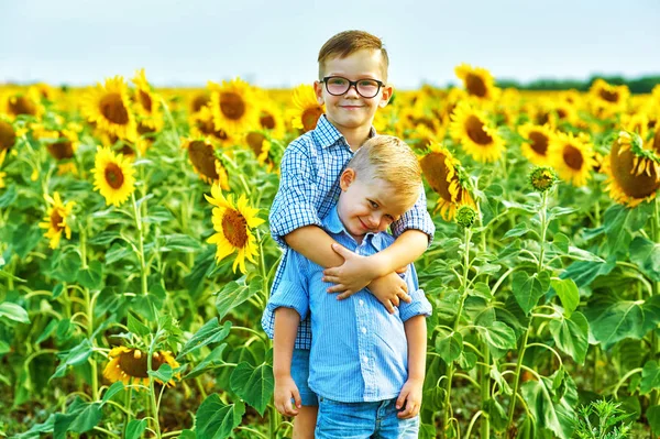 Beaux Enfants Dans Champ Avec Des Tournesols Frères Promenade Estivale — Photo