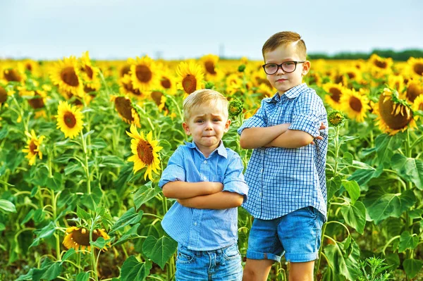 Hermosos Niños Campo Con Girasoles Hermanos Paseo Verano Campo — Foto de Stock