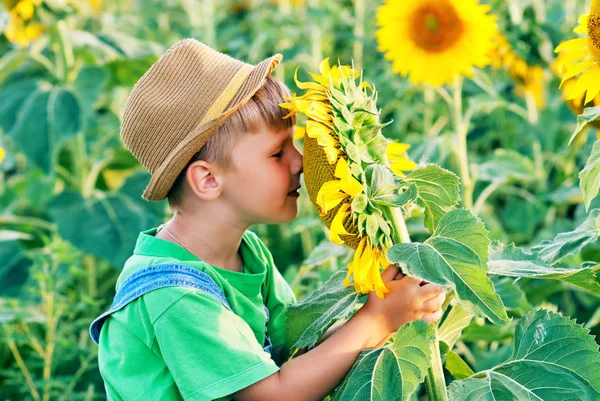 Ein Junge Auf Einem Feld Mit Sonnenblumen Kind Auf Einem — Stockfoto