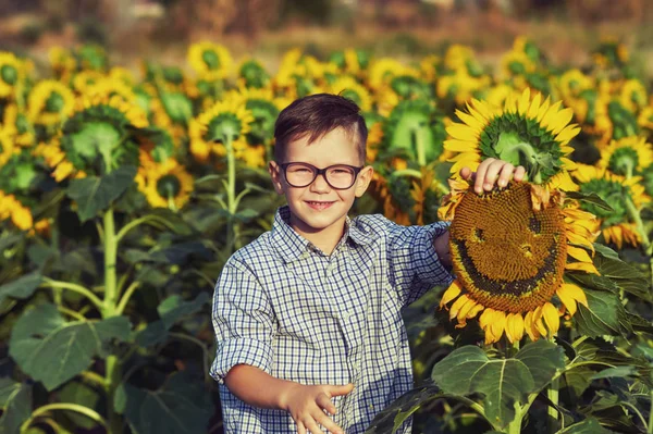 Retrato Niño Girasoles Niño Paseo Por Campo — Foto de Stock