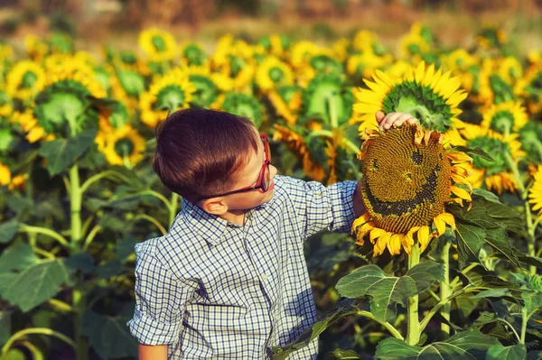 Porträt Eines Jungen Sonnenblumen Kind Auf Einem Spaziergang Der Natur — Stockfoto