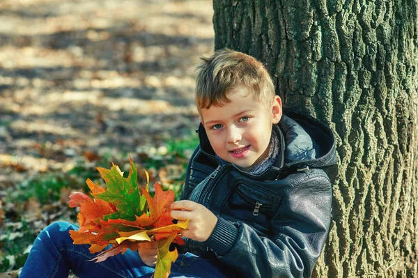 Ragazzo Allegro Una Passeggiata Nel Parco Autunnale — Foto Stock