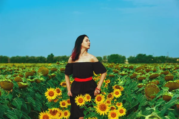 Retrato Uma Jovem Mulher Romântica Girassóis — Fotografia de Stock