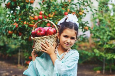 Elma ile bir kız portresi. Taze elma sepeti tutan kız