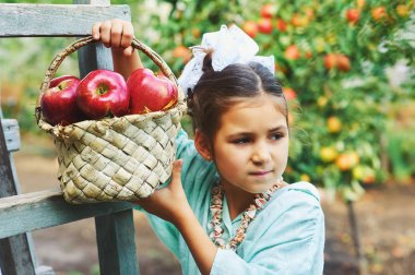 Elma ile bir kız portresi. Taze elma sepeti tutan kız