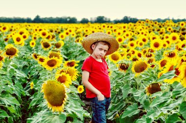 Alan ayçiçeği ile poz hasır şapkalı çocuk
