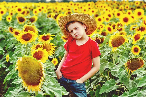 ヒマワリとフィールドでポーズ麦わら帽子の少年 — ストック写真