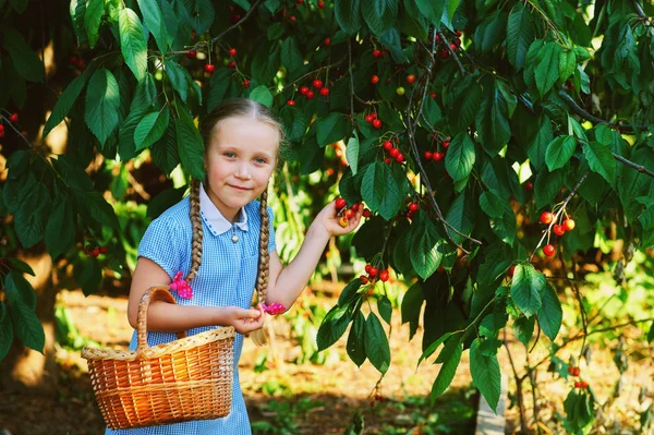 Enfant Recueille Des Cerises Une Jolie Fille Qui Cueille Des — Photo