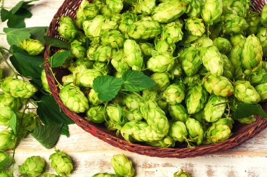 Koni üzerinde ahşap bir masa hop. Madde bira