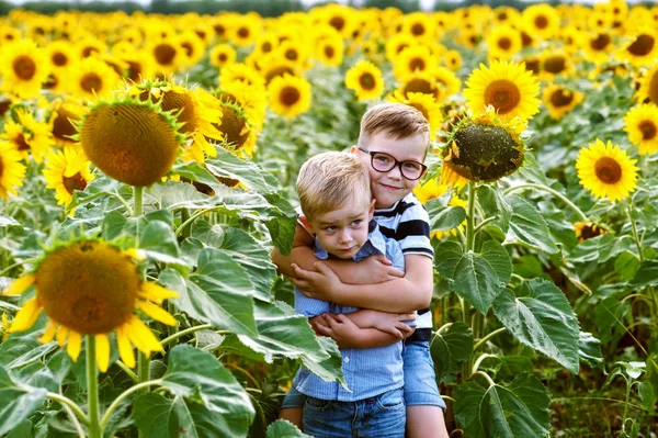Lustige Jungs Auf Dem Feld Mit Sonnenblumen Brüder Spielen Freien — Stockfoto