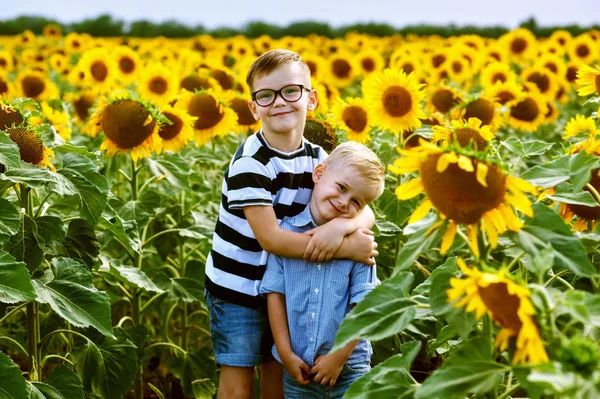 Funny Boys Field Sunflowers Brothers Play Outdoors — Stock Photo, Image