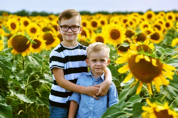 Lustige Jungs Auf Dem Feld Mit Sonnenblumen Brüder Spielen Freien — Stockfoto