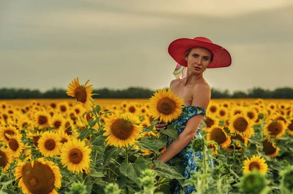 Giovane Donna Sexy Campo Con Girasoli — Foto Stock