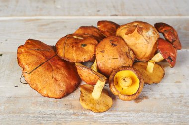 Ahşap masa üzerinde taze orman mantar