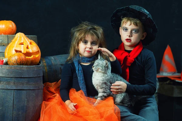 Hermano Hermana Halloween Niños Divertidos Con Disfraces Carnaval Sobre Fondo — Foto de Stock